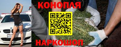 каннабис Гай